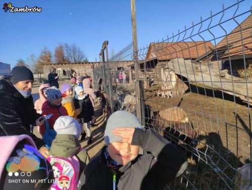 Zwiedzanie zagrody z Ziołowym Zakątku – klasa Ib