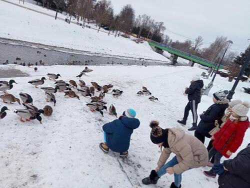 Dokarmiamy zwierzęta i ptaki