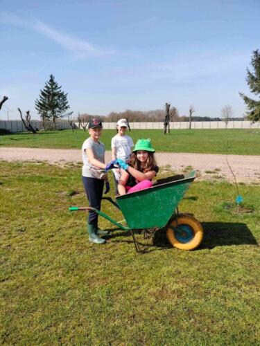 Zbiórka darów dla zwierzaków